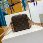 Louis Vuitton JUST IN CASE bag Brown